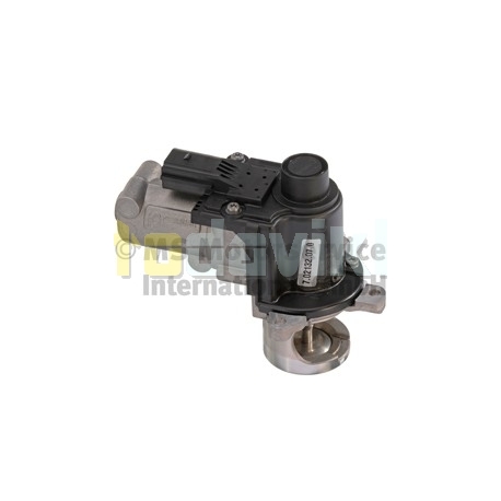 EGR valve 7.02132.07.0